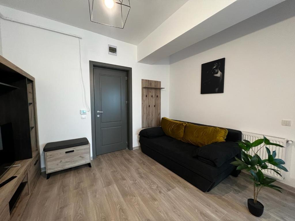 Cozy Accommodation Central City - Iasi Extérieur photo