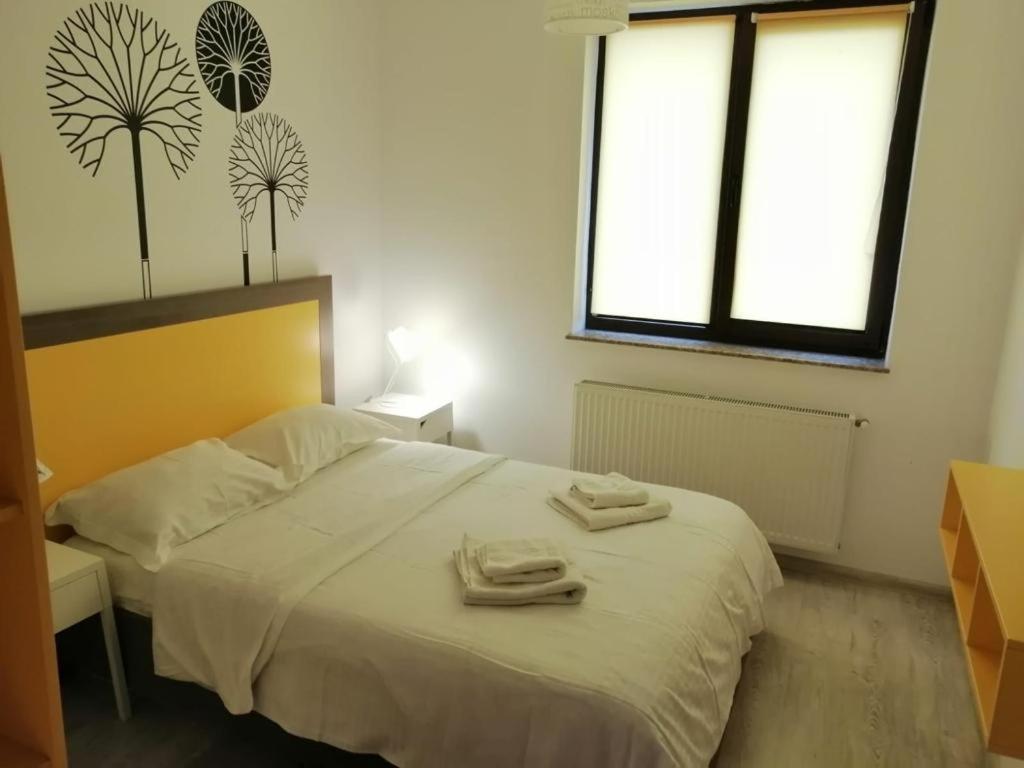 Cozy Accommodation Central City - Iasi Extérieur photo