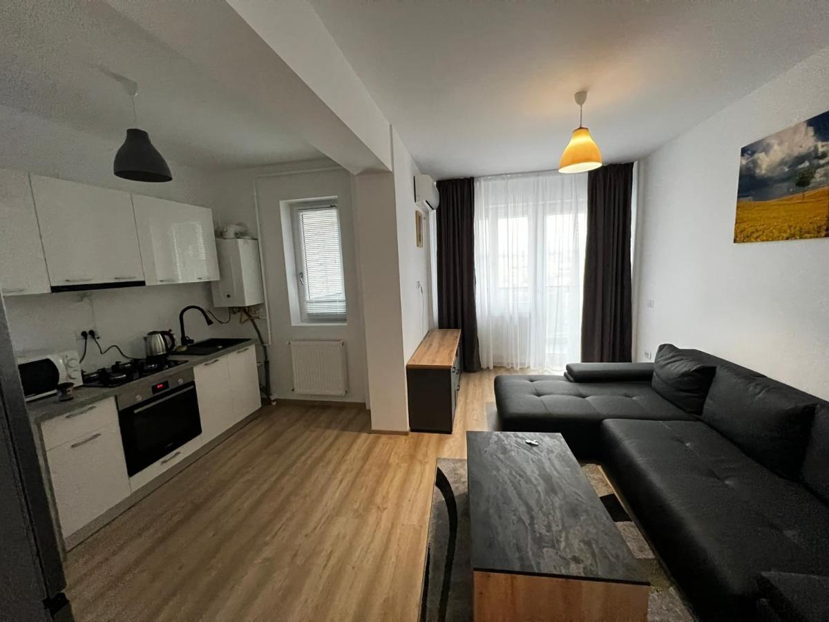 Cozy Accommodation Central City - Iasi Extérieur photo