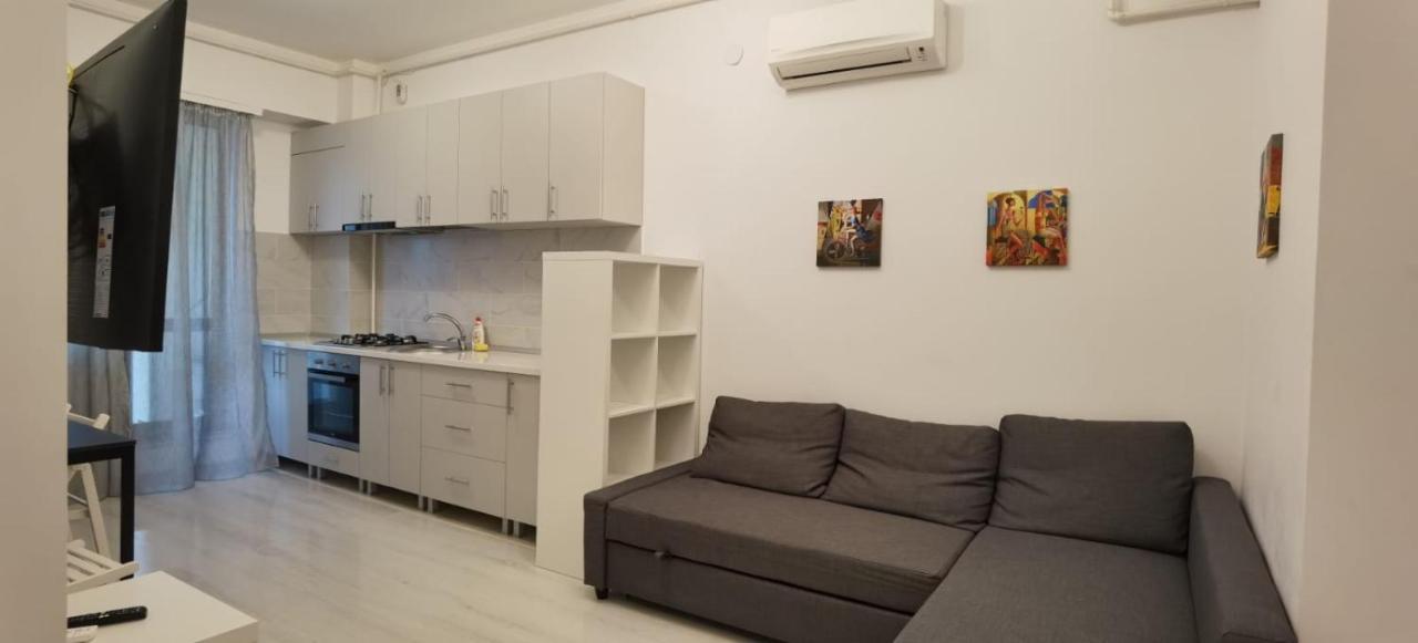 Cozy Accommodation Central City - Iasi Extérieur photo