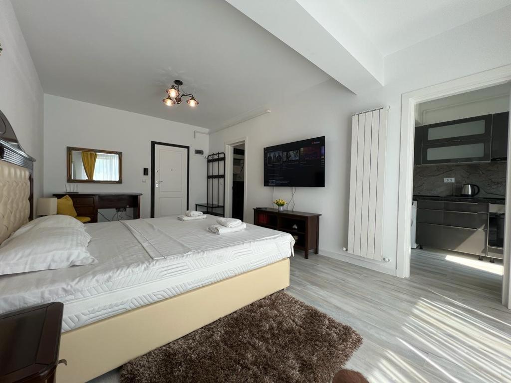 Cozy Accommodation Central City - Iasi Extérieur photo