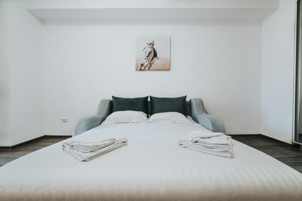 Cozy Accommodation Central City - Iasi Extérieur photo