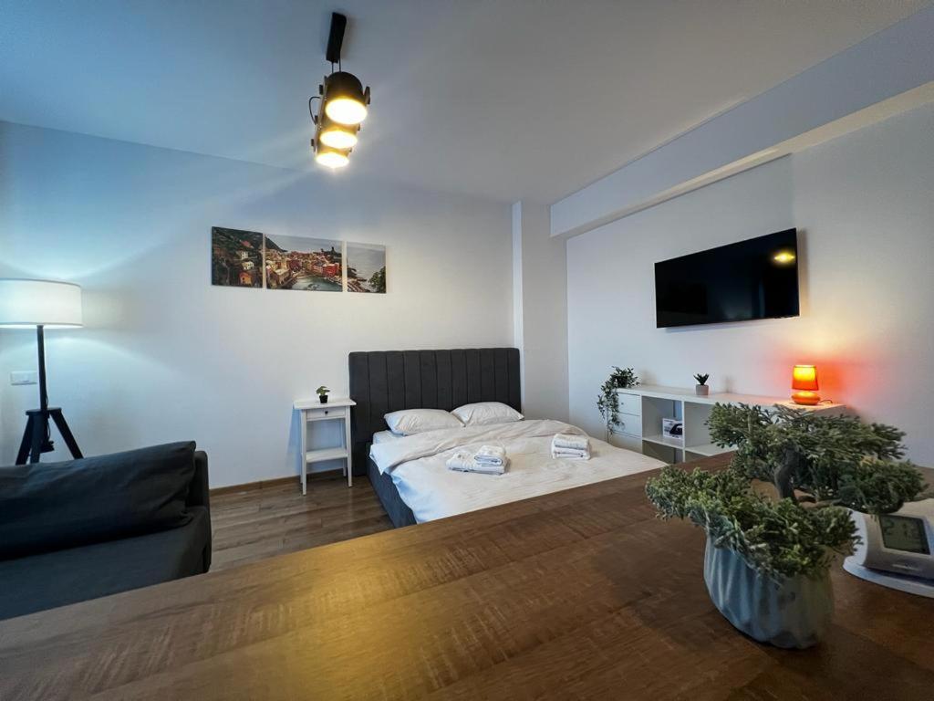 Cozy Accommodation Central City - Iasi Extérieur photo