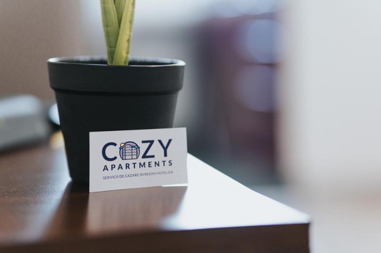 Cozy Accommodation Central City - Iasi Extérieur photo