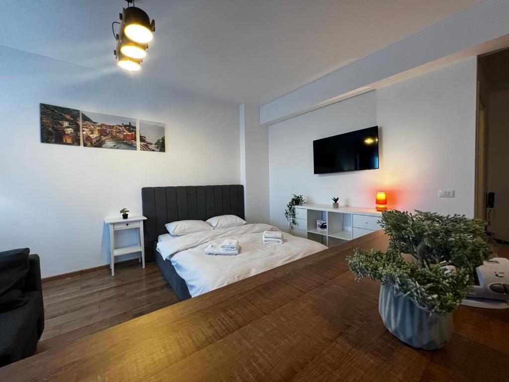 Cozy Accommodation Central City - Iasi Extérieur photo